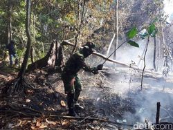 Imigrasi Cek Kabar Peneliti Asal Prancis Dideportasi Terkait Data Karhutla Imigrasi Cek Kabar Peneliti Asal Prancis Dideportasi Terkait Data Karhutla