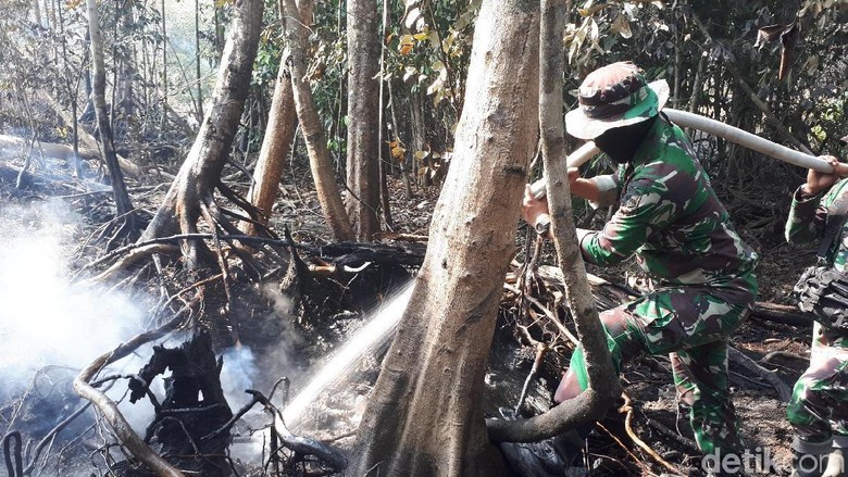 Petugas Beberkan Kesulitan Padamkan Api Karhutla di Riau