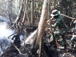 Petugas Beberkan Kesulitan Padamkan Api Karhutla di Riau
