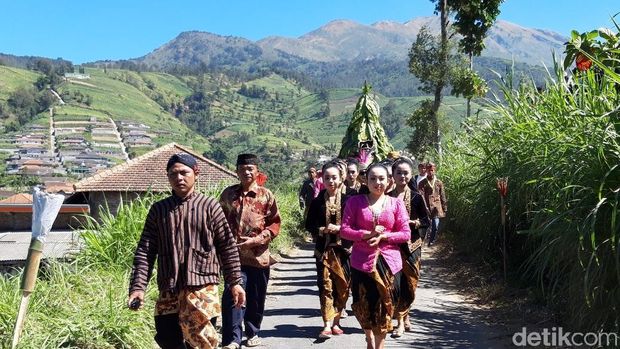 Awali Panen Raya, Warga Lereng Merbabu Gelar Tungguk Tembakau