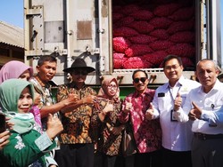 Probolinggo Ekspor Bawang Merah ke Thailand