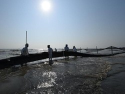 Polisi Turut Bersihkan Tumpahan Minyak Pertamina di Kepulauan Seribu