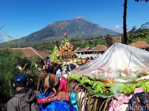 Awali Panen Raya, Warga Lereng Merbabu Gelar Tungguk Tembakau