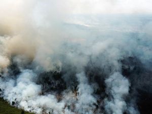 KLHK Tetapkan Tersangka Pembakar Hutan di Kubu Raya Kalbar