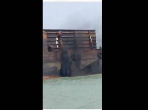 Kapal Kargo Buang Debu Batu Bara ke Laut Malaka, 2 WNI Ditangkap Malaysia