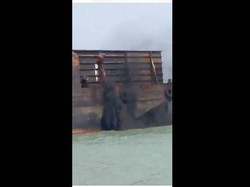 Kapal Kargo Buang Debu Batu Bara ke Laut Malaka, 2 WNI Ditangkap Malaysia