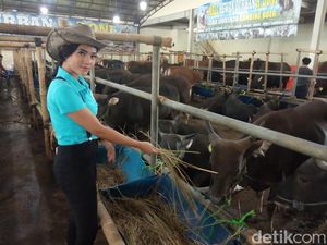 Pedagang Hewan Kurban Menjamur di Lapak Sederhana hingga Mal