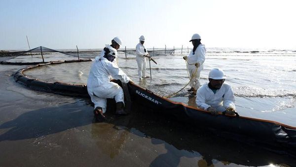 Semangat Petugas Bersihkan Tumpahan Minyak di Pantai Sedari