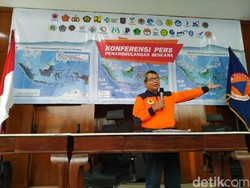 Antisipasi Ancaman Megathrust, BNPB Ditunjuk Jokowi Bangun Hutan Pantai