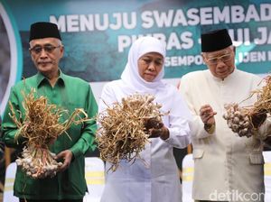 Khofifah Dorong Jawa Timur Swasembada Bawang Putih