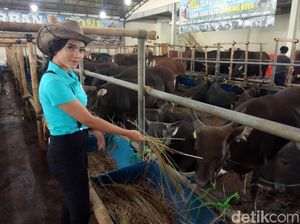 Setiap Orang Pasti Bisa Berkurban, Begini Caranya (1)