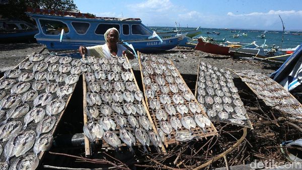 Melihat Emak-emak Tanjung Luar Lombok Mengolah Ikan Kerapu