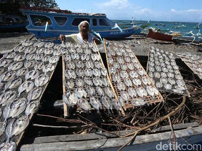 Melihat Emak-emak Tanjung Luar Lombok Mengolah Ikan Kerapu