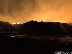 Pabrik Produksi Karton di Gresik Dilalap Api Pabrik Produksi Karton di Gresik Dilalap Api