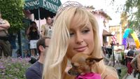 Saat Gaya Anjing Selebriti Dunia Tak Kalah Mewah dari Majikannya