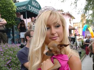 Saat Gaya Anjing Selebriti Dunia Tak Kalah Mewah dari Majikannya Saat Gaya Anjing Selebriti Dunia Tak Kalah Mewah dari Majikannya