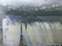 Pemilik Ikan Koi Mati Gugat PLN, Perlukah Emak-emak Perkarakan ASI Basi?