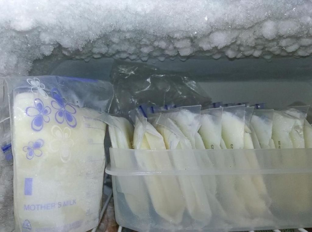 Pemilik Ikan Koi Mati Gugat PLN, Perlukah Emak-emak Perkarakan ASI Basi? Pemilik Ikan Koi Mati Gugat PLN, Perlukah Emak-emak Perkarakan ASI Basi?