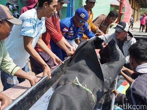 2 dari 4 Korban Tewas KM Pieces Teridentifikasi, Berikut Identitasnya 2 dari 4 Korban Tewas KM Pieces Teridentifikasi, Berikut Identitasnya
