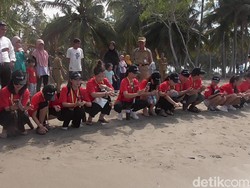 Selamatkan Penyu, Turis Lepas Ratusan Tukik di Polewali Mandar