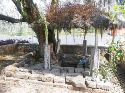 Foto: Air Suci yang Konon Bikin Awet Muda di Dieng
