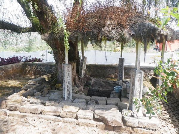 Foto: Air Suci yang Konon Bikin Awet Muda di Dieng