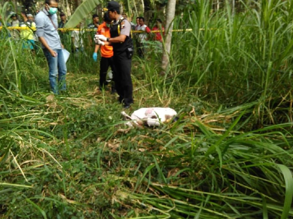 Hilang Hampir Sepekan, Petani di Salatiga Ditemukan Tewas Hilang Hampir Sepekan, Petani di Salatiga Ditemukan Tewas
