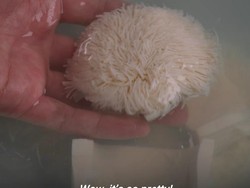 Super Tipis! Chef Ini Potong Tahu Sutera Setipis Helaian Rambut