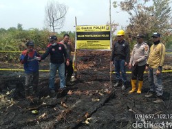 Lahan Konsesi di Riau Tebakar, Police Line Dipasang