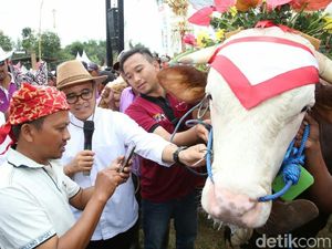 Banyuwangi Kembali Berinovasi Luncurkan Kartu Ternak Elektronik Banyuwangi Kembali Berinovasi Luncurkan Kartu Ternak Elektronik