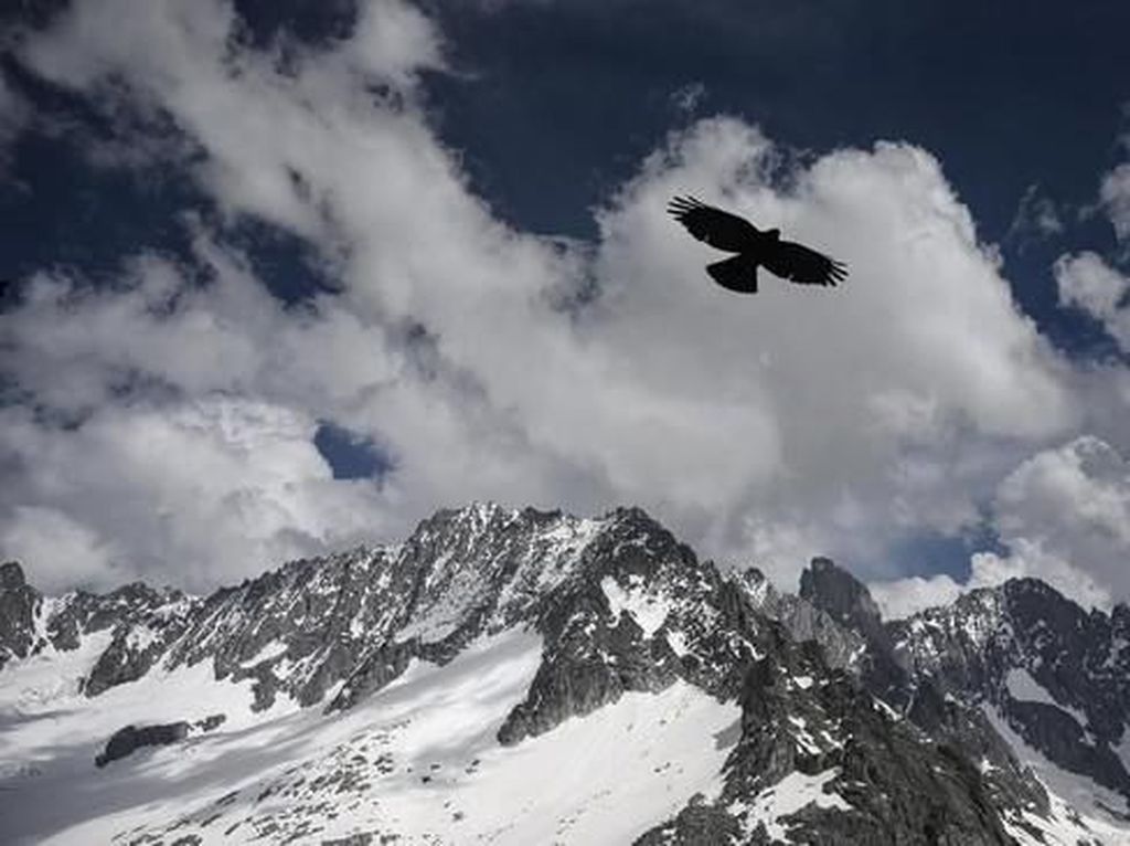Kecelakaan Pesawat di Pegunungan Alpen Swiss, 4 Orang Tewas
