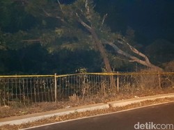 Polisi Sebut Jakarta Blackout Akibat Pohon di Bawah SUTET