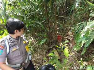 Pembunuh dan Pemerkosa Siswi SMK yang Magang di Pemkab Taput Ditangkap