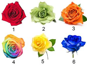 Pilih Satu Mawar Kesukaan untuk Ungkap Karakter Kamu di Mata Orang Lain Pilih Satu Mawar Kesukaan untuk Ungkap Karakter Kamu di Mata Orang Lain