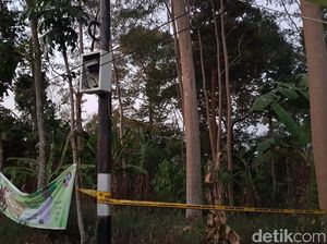 Bukan Sabotase, Blackout Jakarta Akibat Ulah Pepohonan di Semarang Bukan Sabotase, Blackout Jakarta Akibat Ulah Pepohonan di Semarang
