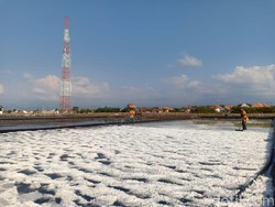 Curhat Petani Garam Probolinggo Soal Harga Anjlok Hingga Rp 550/Kg