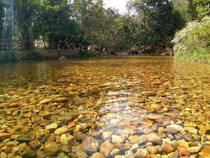 Sungai Sejernih Kaca di Sumatera Barat