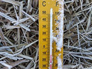 Brrrr! Suhu Dieng Turun Hingga Minus 10,5 Derajat Celcius