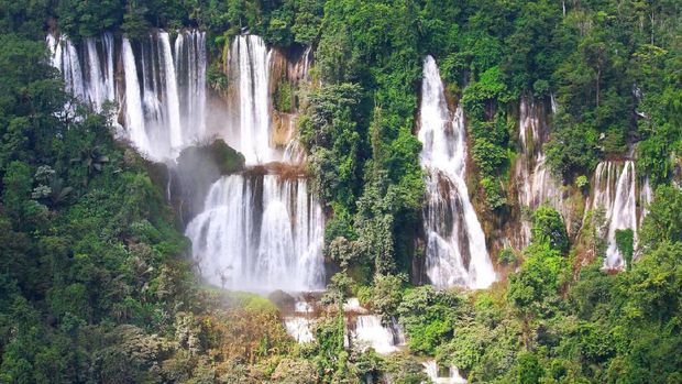 Rekomendasi Tempat Wisata Safari ala 'The Lion King' di Asia