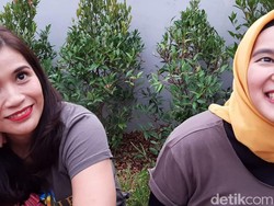 Cerita Nova yang Lintas Kota Demi Westlife