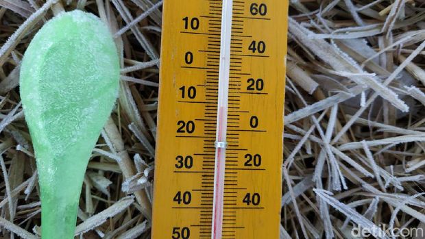 Suhu di Dieng Anjlok Hingga Minus 11 Derajat, Embun Es Makin Tebal