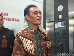 Ombudsman Pertanyakan Dugaan Pohon Tinggi Jadi Penyebab Listrik Padam