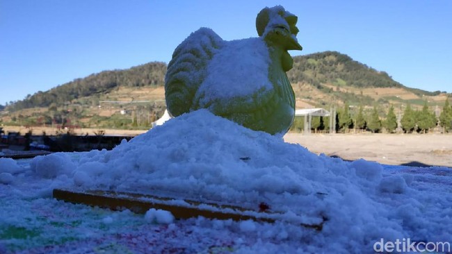 Suhu Di Dieng Meningkat Drastis  Hingga Minus 11 Derajat