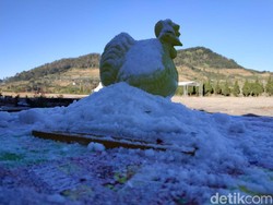 Suhu di Dieng Anjlok Hingga Minus 11 Derajat, Embun Es Makin Tebal