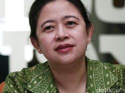 Puan: Megawati Jadi Formatur Tunggal, Tidak Ada Faksi