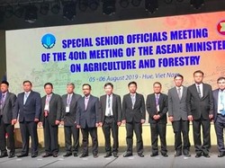 Di SOM AMAF, RI Tekankan Pentingnya Revolusi Industri Pertanian