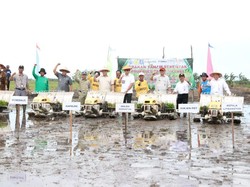 Percepat Ekonomi Bangka, Kemendes Kembangkan Prukades Padi