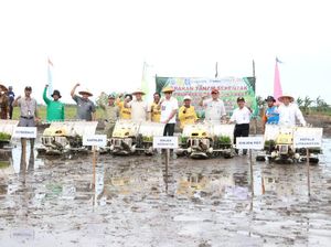 Percepat Ekonomi Bangka, Kemendes Kembangkan Prukades Padi Percepat Ekonomi Bangka, Kemendes Kembangkan Prukades Padi