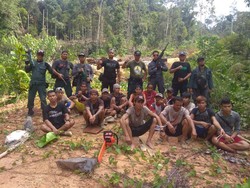 17 Pelaku Pembalakan Liar Ditangkap di Perbatasan RI-Malaysia