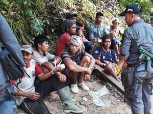 Ini 17 Pelaku Pembalakan Liar yang Ditangkap di Sambas